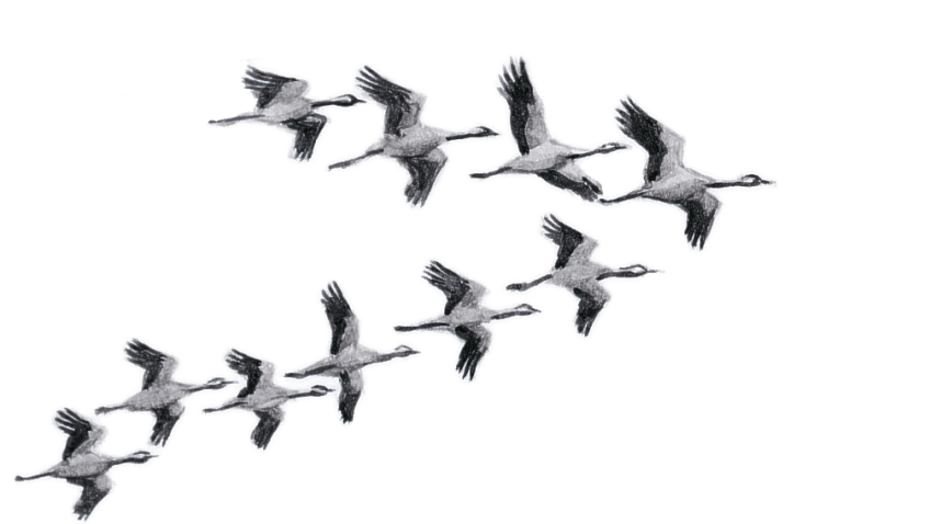 Gruevol-serge-nicolle-1-848x478